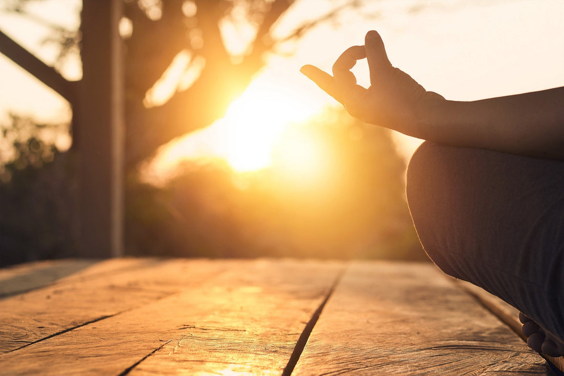 How Daily Toxins and Stress Affect Your Body and How Nature Helps Restore Balance - Nutrum Biotech