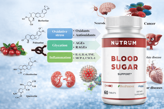 Supplements That Support Healthy Cholesterol Levels: A Practical Comparison - Nutrum Biotech