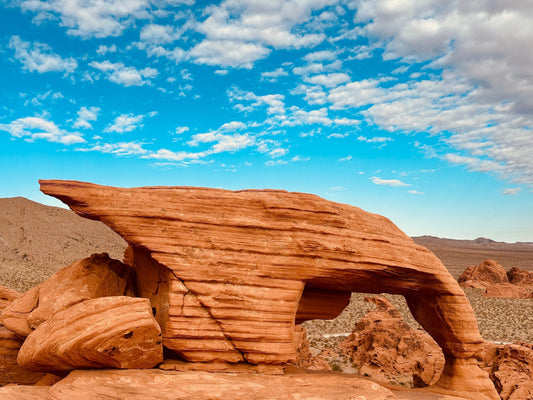 Two Wildernesses, Two Stories: Experience, Preparation, and the Trail - Nutrum Biotech