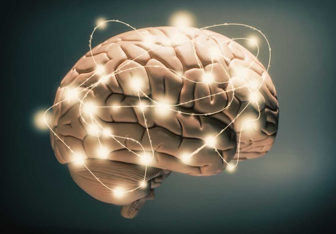 Vital Vitamins for Brain Health How Everyday People Are Supporting Focus, Memory, and Mental Clarity - Nutrum Biotech
