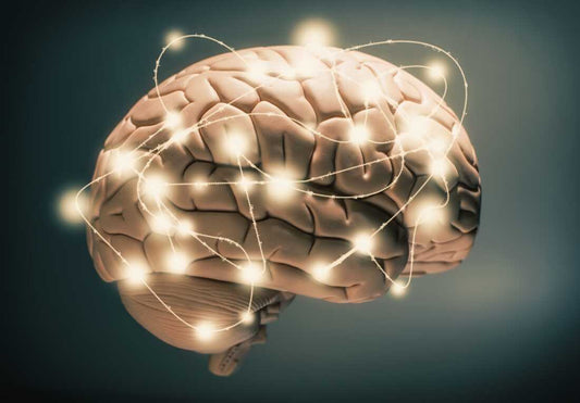 Vital Vitamins for Brain Health How Everyday People Are Supporting Focus, Memory, and Mental Clarity - Nutrum Biotech