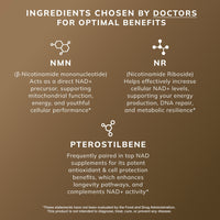 NMN & NAD+ Booster - Nutrum Biotech