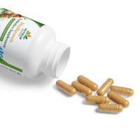 Organic Mushroom Blend Supplement for Brain, Energy & Wellness – 60 Capsules - Nutrum Biotech